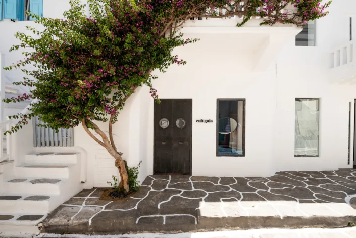 Cult Gaia Mykonos